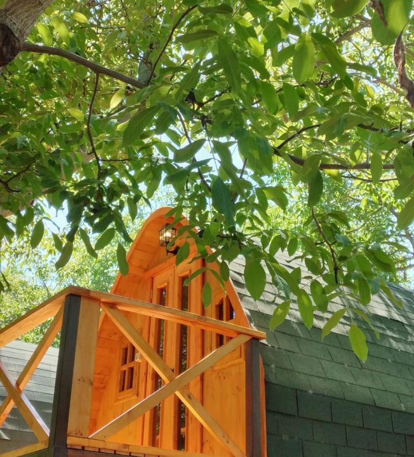 Cabanas Penaflor Glamping Exterior foto