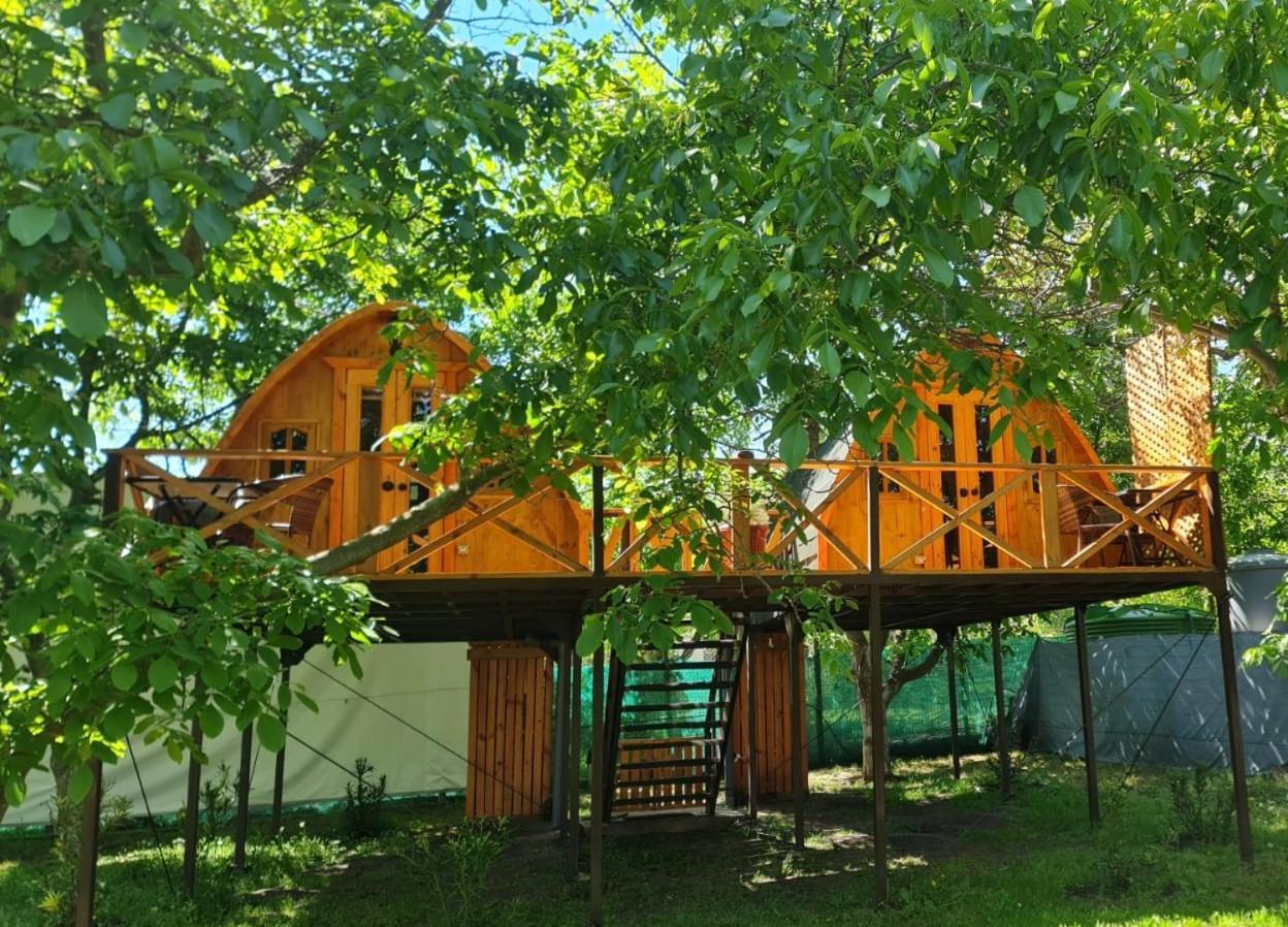 Cabanas Penaflor Glamping Exterior foto
